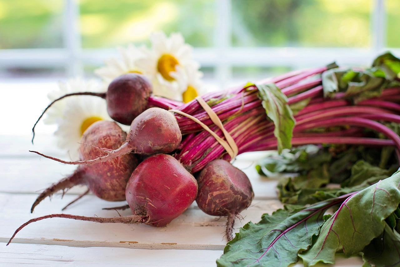 Beets for dog allergies best sale