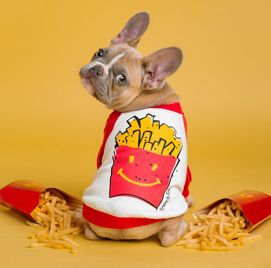 Can Dogs Eat French Fries? Top 3 Risks of Canine Fry Consumption