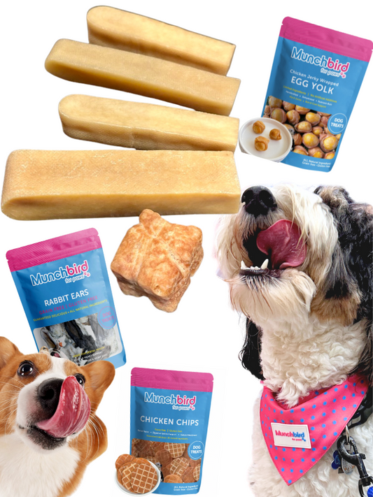 Yak Cheese for Dogs: A Nutritious and Tasty Treat