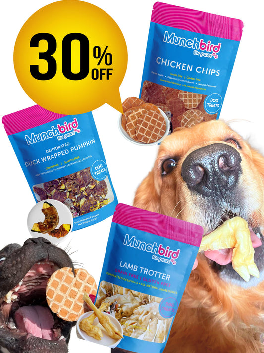 Best Value Bundle: Lamb Trotter, Chicken Chip & Pumpkin Duck Dog Treats