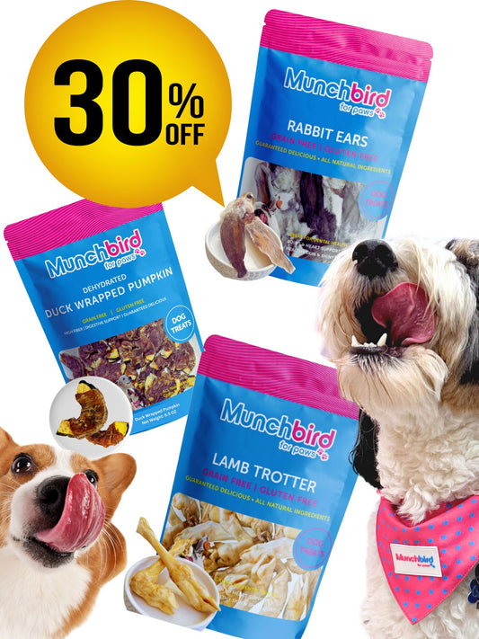 Best Value Bundle: Lamb Trotter, Rabbit Ears & Pumpkin Duck Dog Treats