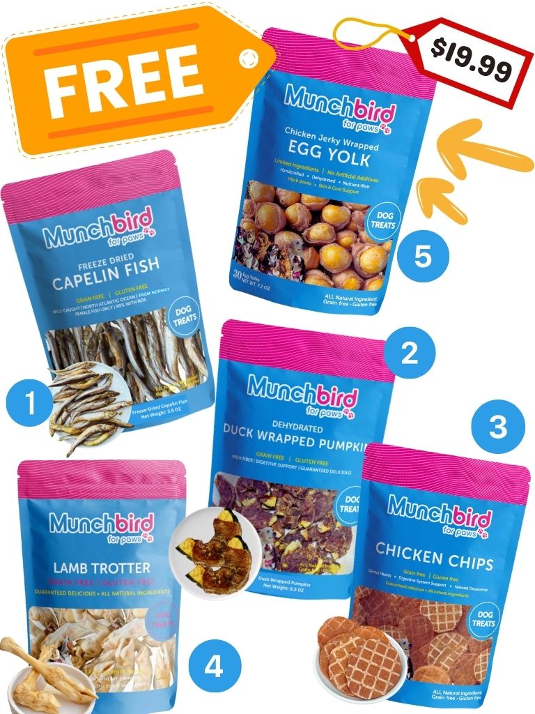 Munchbird Ultimate Variety Pack – 5-in-1 Treat Bundle + Free Gift (Egg Yolk)!