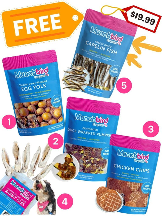 Munchbird Ultimate Variety Pack – 5-in-1 Treat Bundle + Free Gift (Capelin Fish)!