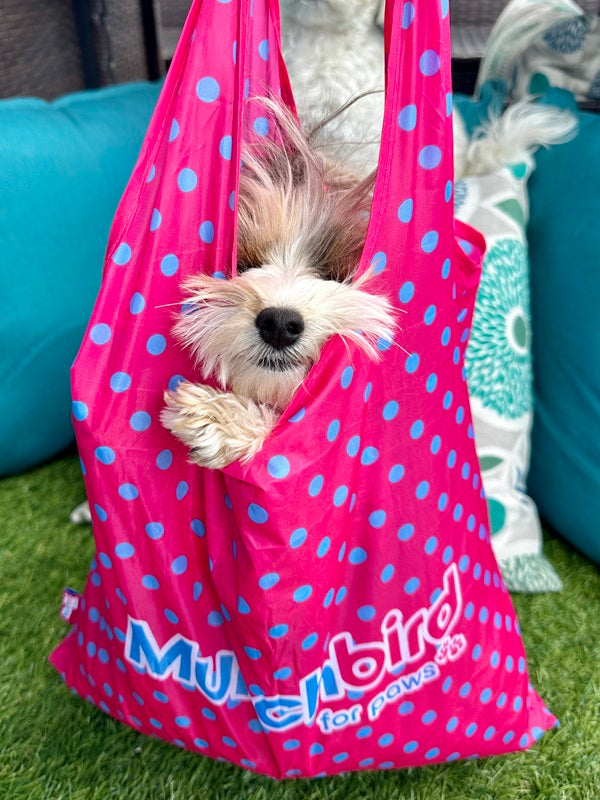 Foldable Reusable Shopping Bags (Hot Pink, Polka Dot)