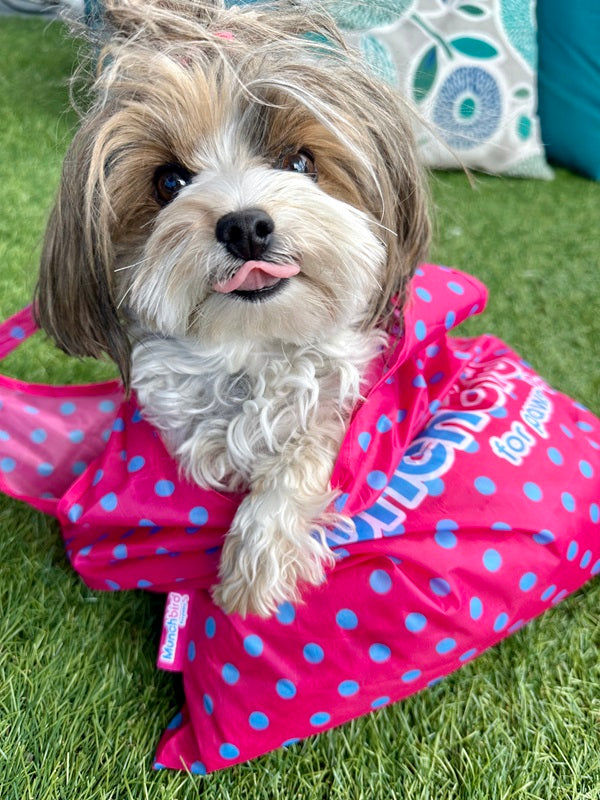 Foldable Reusable Shopping Bags (Hot Pink, Polka Dot)