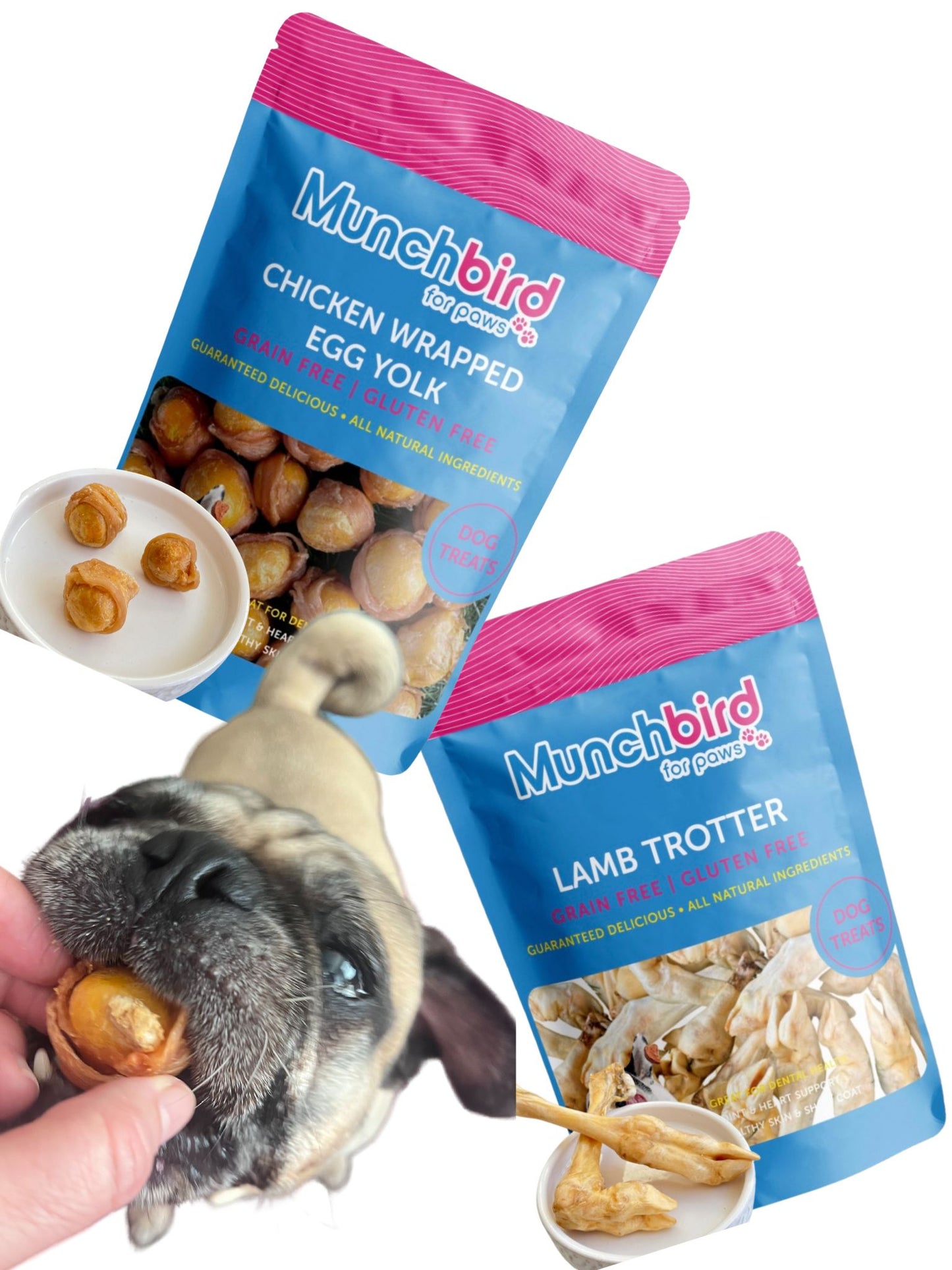 Skin & Coat Support Bundle: Lamb Trotter & Egg Yolk Dog Treats